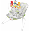 Fisher-Price Baby Bouncer