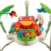 Fisher-Price Rainforest Jumperoo