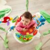 Fisher-Price Rainforest Jumperoo