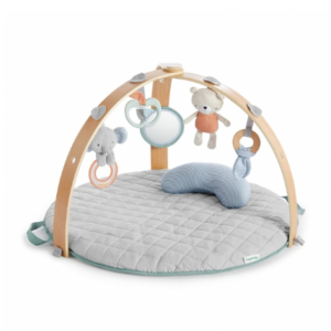 Ingenuity Activity Gym